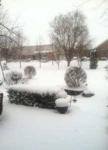 My backyard on March 24, 2013